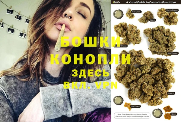 крисы Иннополис