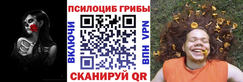 Псилоцибиновые грибы мицелий  купить   Сосновоборск 