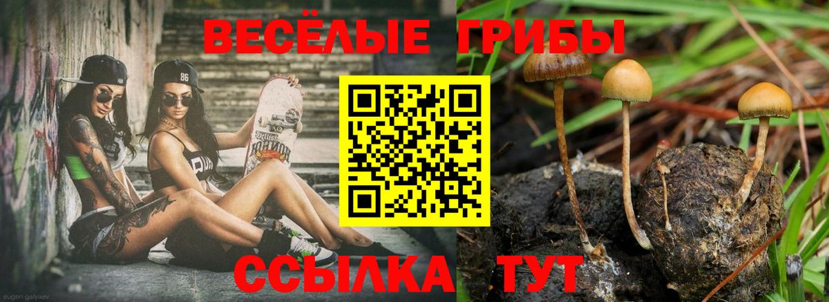 Галлюциногенные грибы ЛСД Сосновоборск